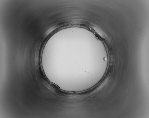 X0000086911065200705141658