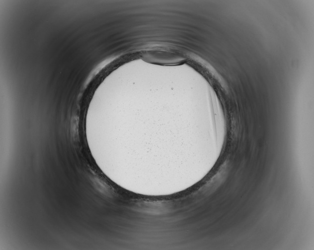 X0000086911066200705141658