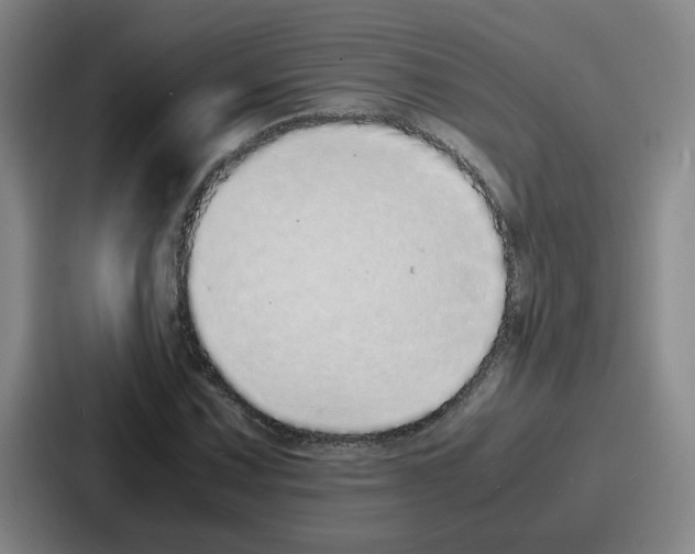 X0000086911067200705141658