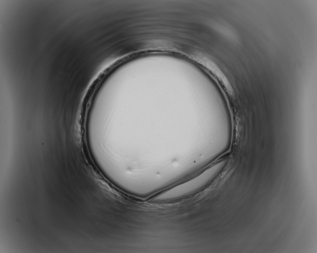 X0000086911068200705141658