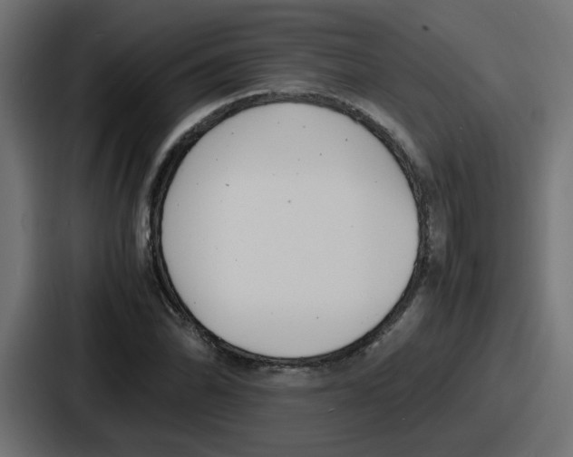 X0000086911070200705141658