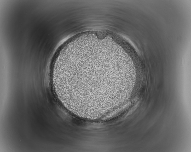 X0000086911071200705141658