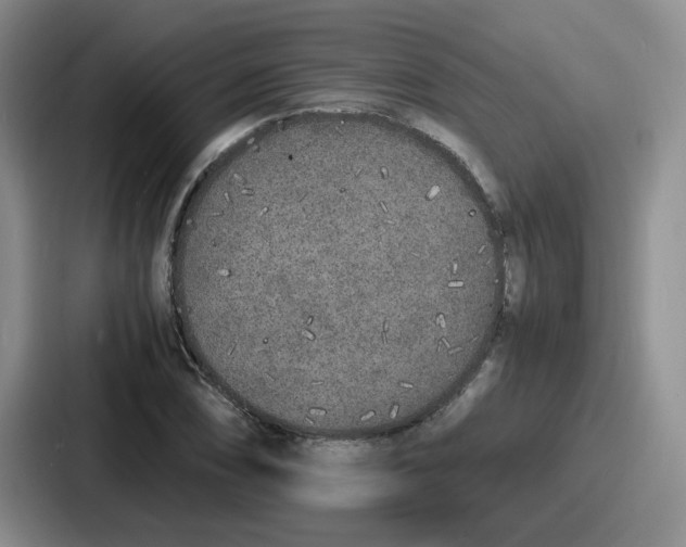 X0000086911074200705141658