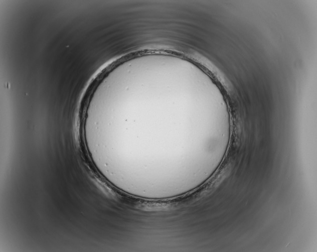 X0000086911076200705141658