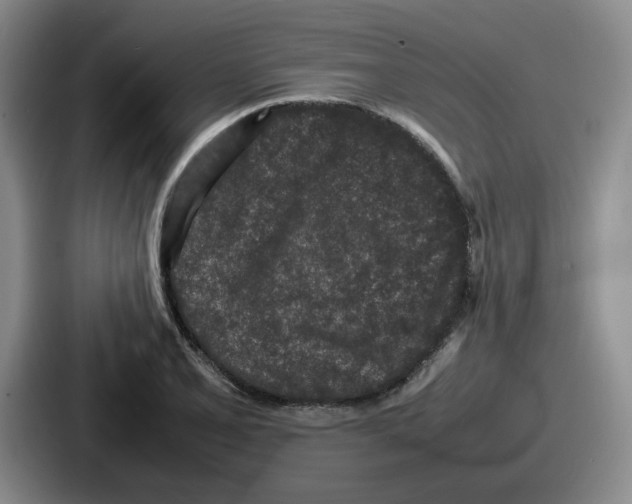 X0000086911077200705141658