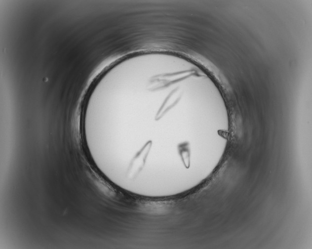 X0000086911078200705141658