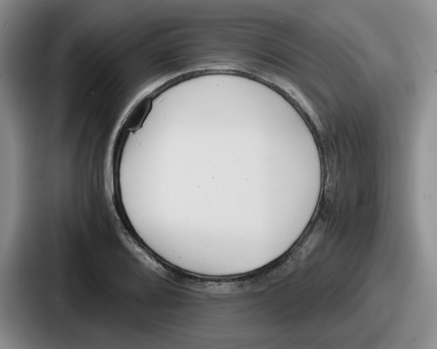 X0000086911080200705141658