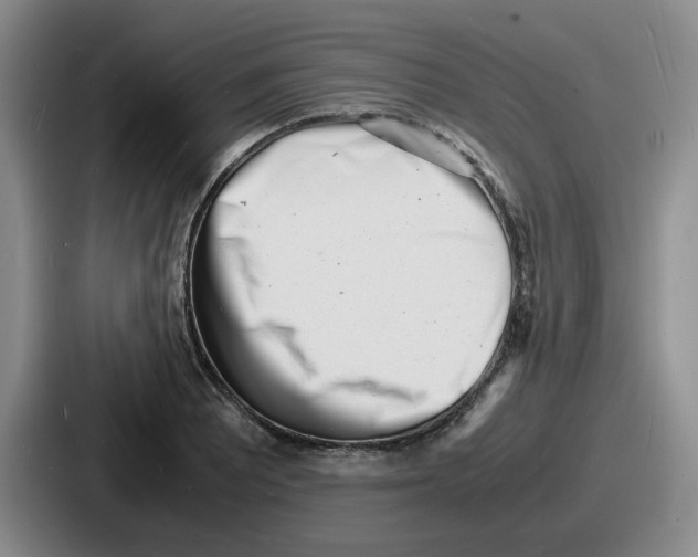 X0000086911081200705141658