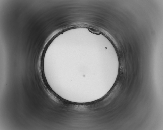 X0000086911082200705141658