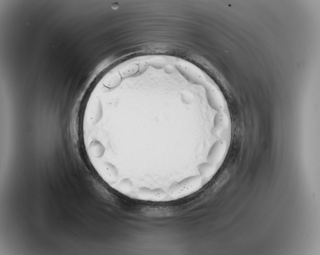 X0000086911083200705141658