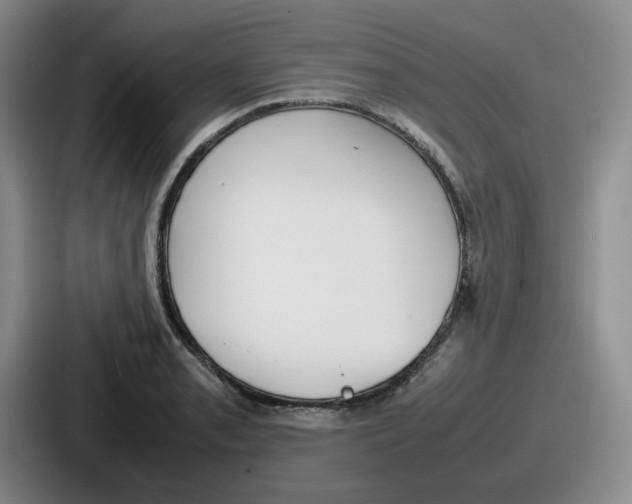 X0000086911085200705141658