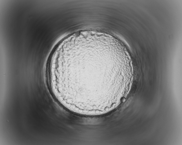 X0000086911087200705141657