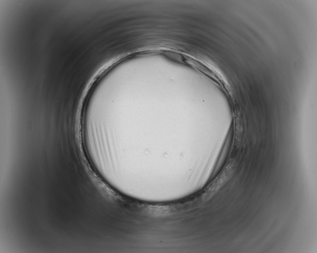 X0000086911088200705141657