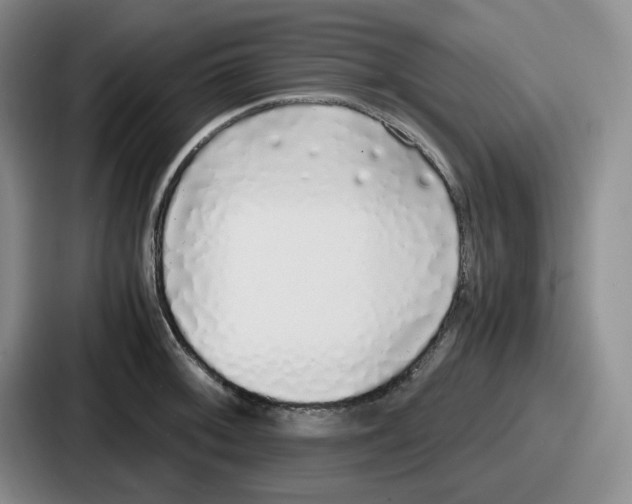 X0000086911092200705141657