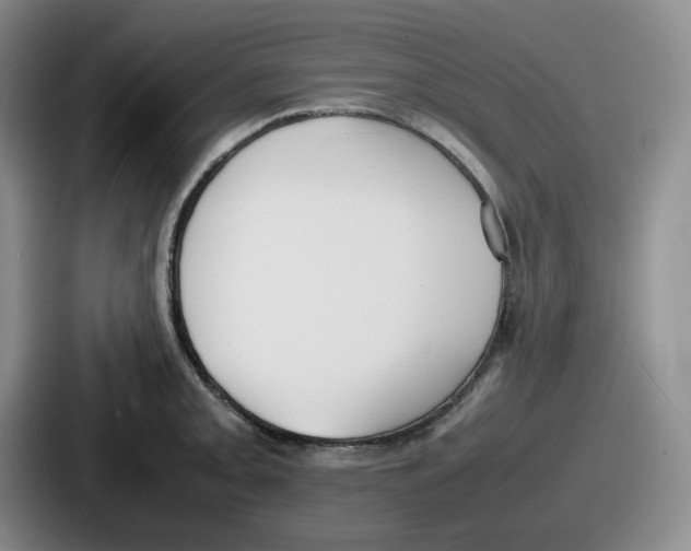 X0000086911093200705141657