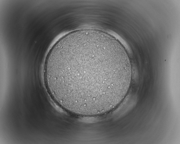 X0000086911094200705141657