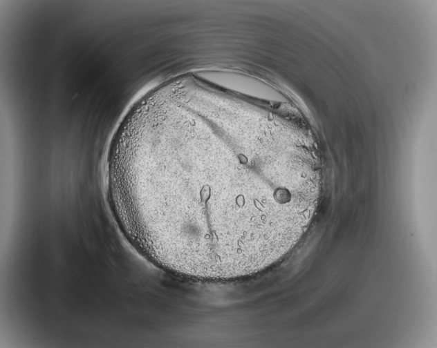 X0000086911095200705141657