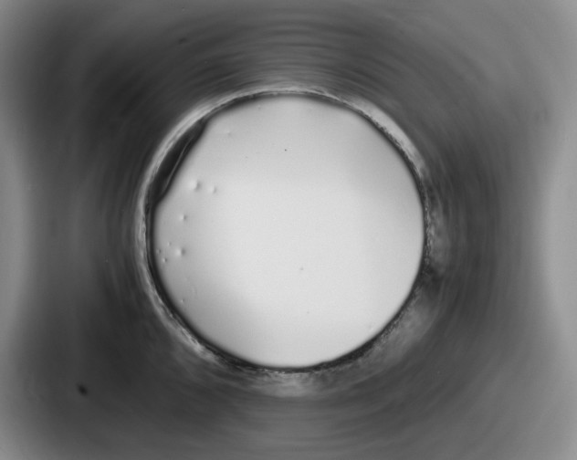 X0000086911096200705141657