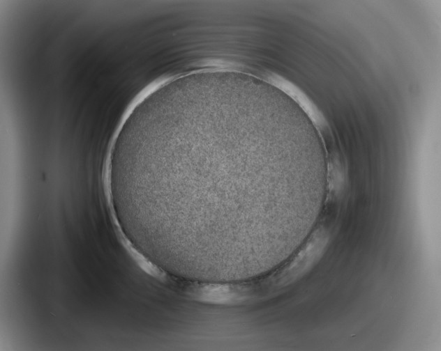 X0000086911098200705141657