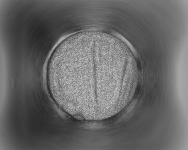 X0000086911099200705141657