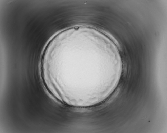 X0000086911100200705141657