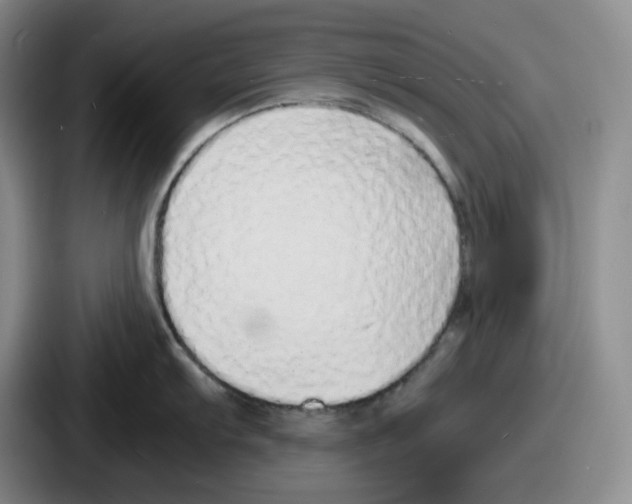 X0000086911103200705141657