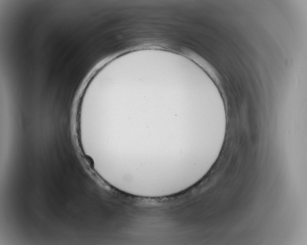 X0000086911104200705141657