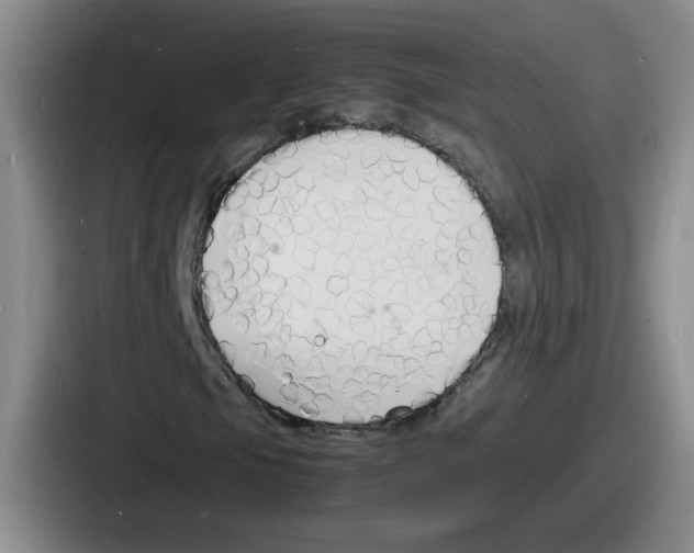 X0000086911105200705141657