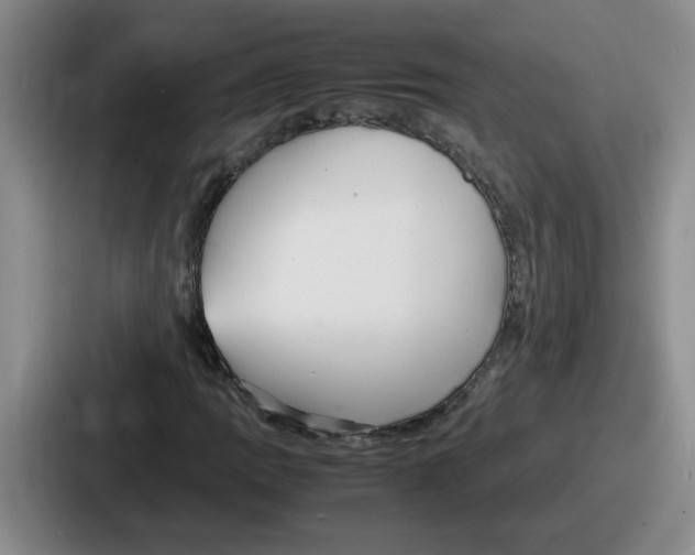 X0000086911109200705141657