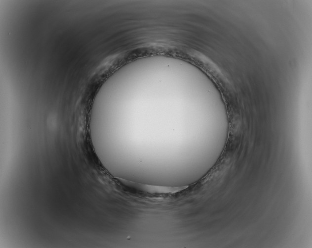 X0000086911110200705141657