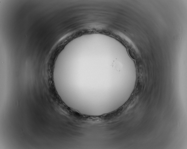 X0000086911112200705141657