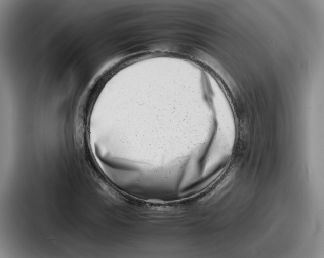 X0000086911115200705141657