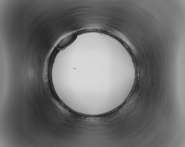 X0000086911116200705141657