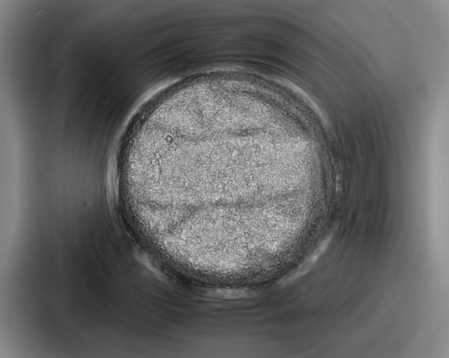 X0000086911117200705141657