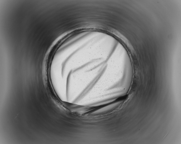 X0000086911120200705141657