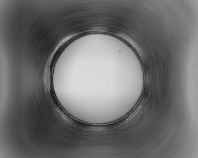 X0000086911123200705141657