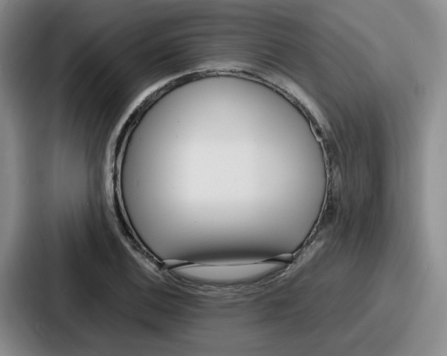 X0000086911124200705141657