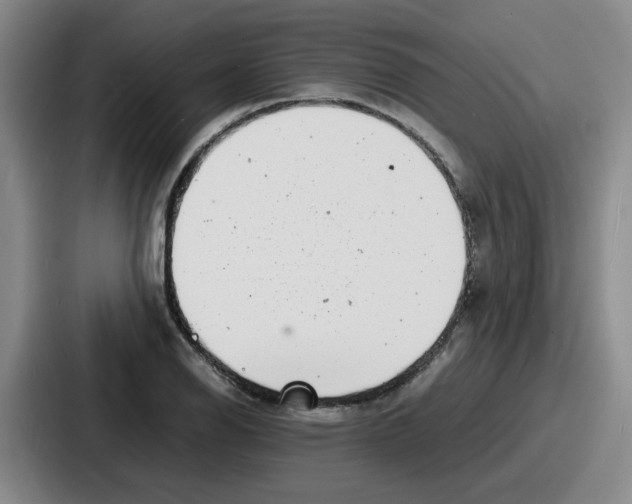 X0000086911126200705141657