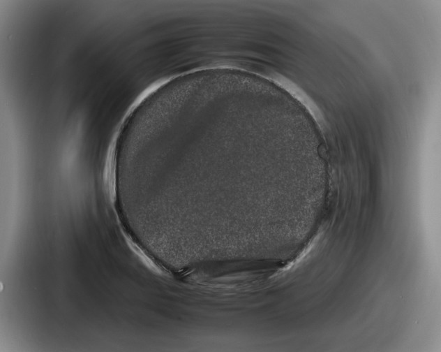 X0000086911127200705141657