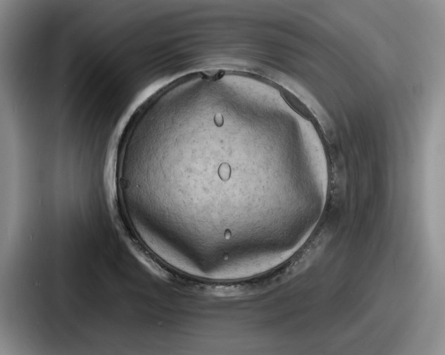 X0000086911128200705141657