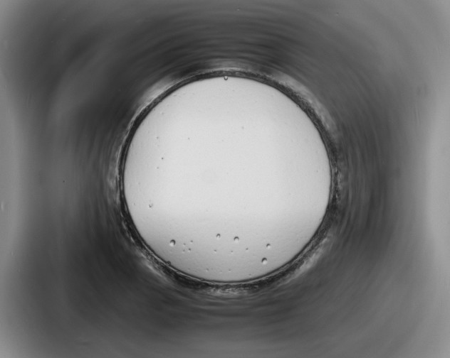 X0000086911129200705141657