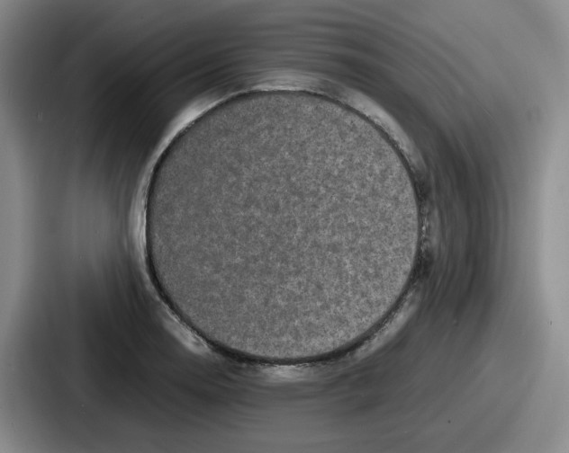 X0000086911130200705141657