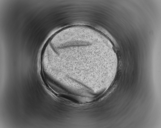 X0000086911132200705141657