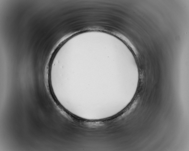 X0000086911133200705141657