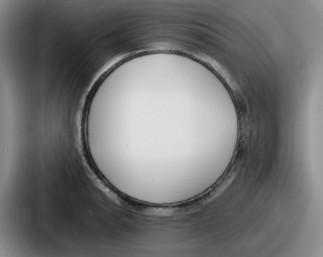 X0000086911134200705141657