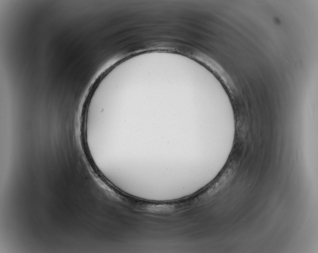 X0000086911135200705141657