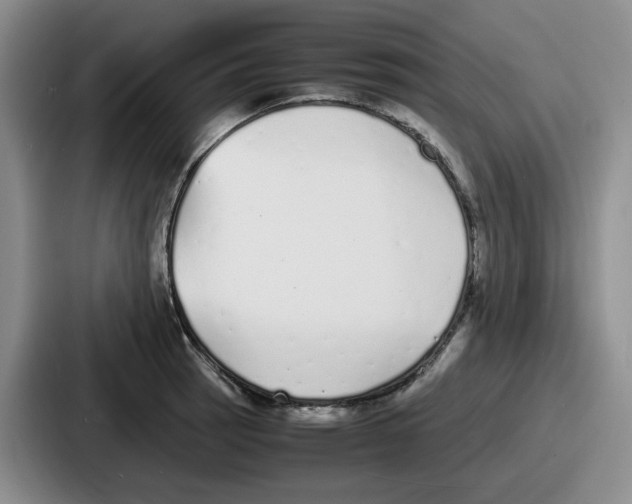 X0000086911137200705141657