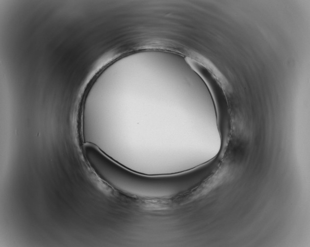 X0000086911138200705141657