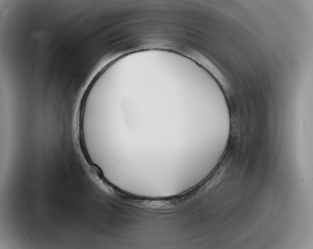 X0000086911140200705141657