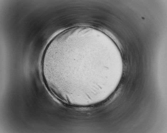 X0000086911141200705141657